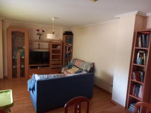 a living room with a blue couch and book shelves at La Viña in Zamora