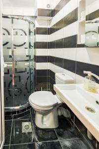 a bathroom with a toilet and a shower and a sink at Aparthotel Noldina in Donji Štoj