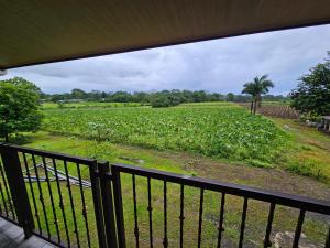 a balcony with a view of a field of crops at Divina Naturaleza in Agua Azul