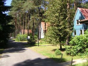 a road leading to a blue house and trees at Forest park at Roofensee in Stechlin