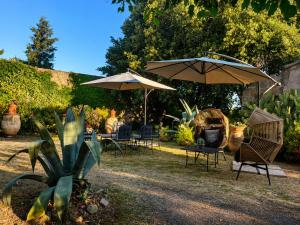 a group of chairs and umbrellas in a yard at La Casetta in San Terenziano