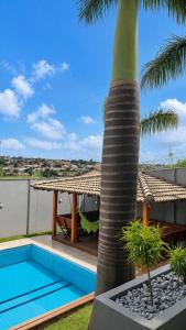 a villa with a palm tree and a swimming pool at Recanto Veraneio in Londrina