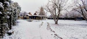 a snow covered yard with a house and trees at Ayün Mawida in Las Compuertas +16 photos