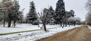 a snow covered park with trees and a dirt road at Ayün Mawida in Las Compuertas