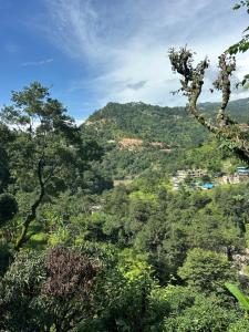 auliculiculiculiculiculiculiculiculiculiculiculiculiculiculic at The quiet corner homestay in Rudraprayāg