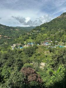 a town on a hill with trees and houses at The quiet corner homestay in Rudraprayāg