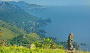 a view of a lake from a hill with a tree at Romantic Hotel & Restaurant Villa Cheta Elite in Maratea