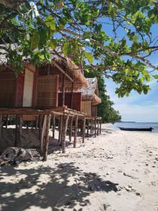 a resort on the beach with a tree at KAINORA Guest Hause in Pulau Batanta +16 photos