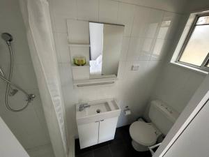 a bathroom with a toilet and a sink and a mirror at Comara Jindabyne Unit 1 in Jindabyne