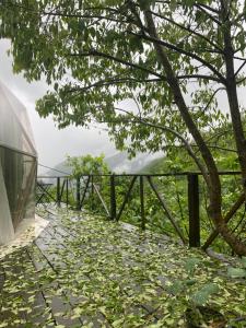 a building with a tree and leaves on the ground at North Dome Suite Bungalov in Rize