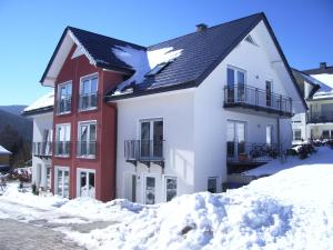 a house with a bird on the roof in the snow at Ferienwohnung Zum Ritzhagen in Willingen