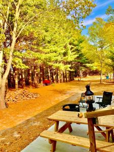 a picnic table in a park with a lamp on it at Camp Squid Off The Grid in Benzonia