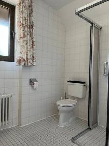 a bathroom with a toilet and a shower at Waldgarten Marienau in Höchenschwand +44 photos