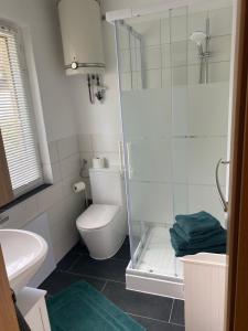 a bathroom with a toilet and a glass shower at Gästehaus Bergstraße Hammermühle in Bad Düben +5 photos