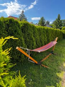 a hammock sitting in the grass next to a hedge at Pokoje i Domki Nadmorskie - Bajkowa Mierzeja in Stegna