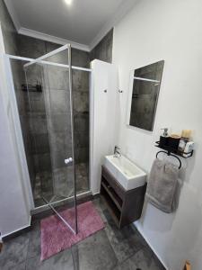 a bathroom with a shower and a sink at Eagles Accommodation in Colesberg