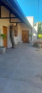 a building with a bench next to a tree at Eagles Accommodation in Colesberg