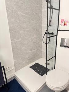 a small bathroom with a toilet and a shower at Studio avec jardin sud proche bord de mer in Sainte-Maxime +12 photos