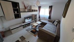 a living room with a couch and a tv at Apartament Balto in Borsec