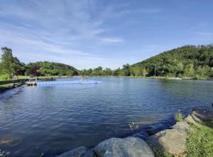 a lake with people swimming in the water at Gamlitzer Winzerzimmer im Urmeer - kontaktloses Gästehaus - direkt gegenüber den Naturbadeteichen in Gamlitz