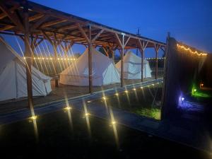 Eine Gruppe von Zelten auf einem Feld bei Nacht in der Unterkunft Meme Glamping in Corbu + 18 Fotos
