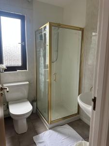 a bathroom with a shower and a toilet and a sink at Lomond Villa in Balloch