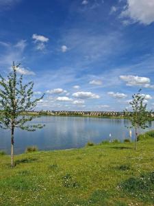a lake with two trees in the grass next to it at Hampton Water Rooms Peterborough in Peterborough