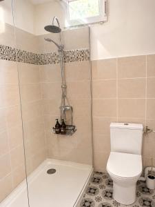 a bathroom with a shower and a toilet at La Maison du Cerisier in Manosque +11 photos