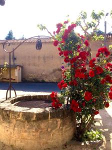 Gallery image of The Old Well Bed and Breakfast in Pézenas