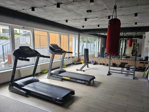 a gym with two tread machines and a punching bag at Apartament Pruszcz Gdański 1 in Pruszcz Gdański
