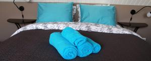 een stapel blauwe handdoeken bovenop een bed bij De Tomaat in Aarle-Rixtel