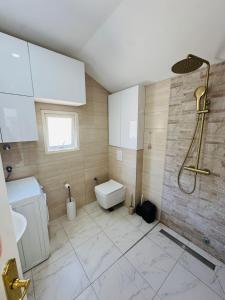 a bathroom with a toilet and a shower in it at Herz Apartmani in Igalo