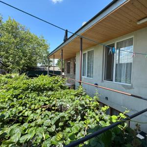 a house with a bunch of plants in front of it at Aloni Green Acres in Zemo Alvani