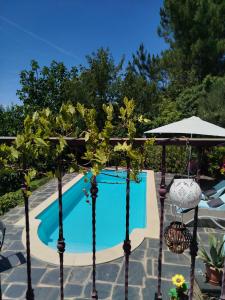a pool with trees and an umbrella next to it at Bela Vista Alqueve - traditional stone house and private pool in Arganil +35 photos