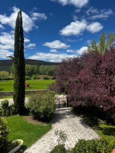 a garden with a large tree and a pathway at Casa Roja Sigüenza in Sigüenza