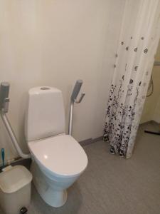 a bathroom with a white toilet and a shower curtain at Bromölla Camping o Vandrarhem in Bromölla +62 photos
