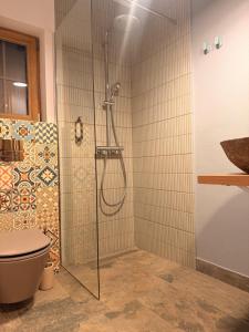 a shower with a glass door in a bathroom at Tiny Folk in Gărâna +43 photos
