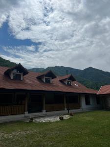 a house with a roof with mountains in the background at Cuib de Munte in Brezoi