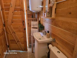 a small bathroom with a sink and a toilet at Royal hammock-Kralski hamak in Chernomorets +26 photos