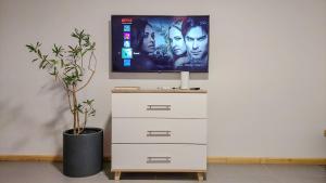 a tv sitting on top of a dresser with a plant at Beachfront Bliss in Cape Town