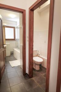 a bathroom with a toilet and a tub at Gîte sur l'ancienne cave in Epfig +7 photos