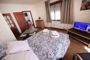 a living room with a bed and a television at Gîte sur l'ancienne cave in Epfig