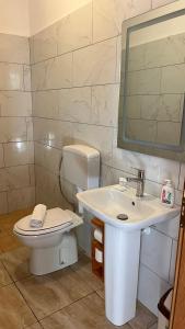 a bathroom with a toilet and a sink and a mirror at prekal park kamping in Shkodër +66 photos