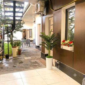 a room with potted plants on the side of a building at Hotel Usmoon in Tashkent