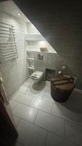 a bathroom with a toilet and a sink at Izdebka in Bochowo