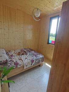 a bedroom with a bed in a room with a window at Levani Cottages in Ureki