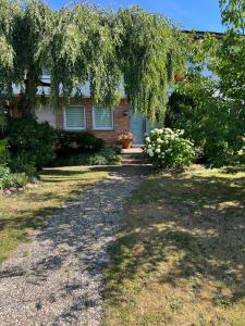 a house with a tree hanging over a driveway at Kirchheim Hessen in Kirchheim