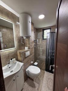 a bathroom with a toilet and a sink and a shower at Monte LUX 10 in Kopaonik +23 photos