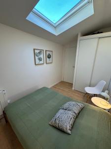 a bedroom with a large bed and a skylight at La lumière d'Issy in Vanves +4 photos