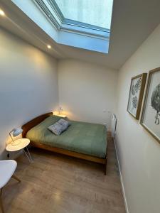 a bedroom with a bed and a skylight at La lumière d'Issy in Vanves